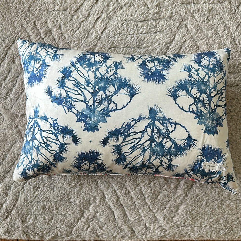 Anthropologie decorative silk pillow